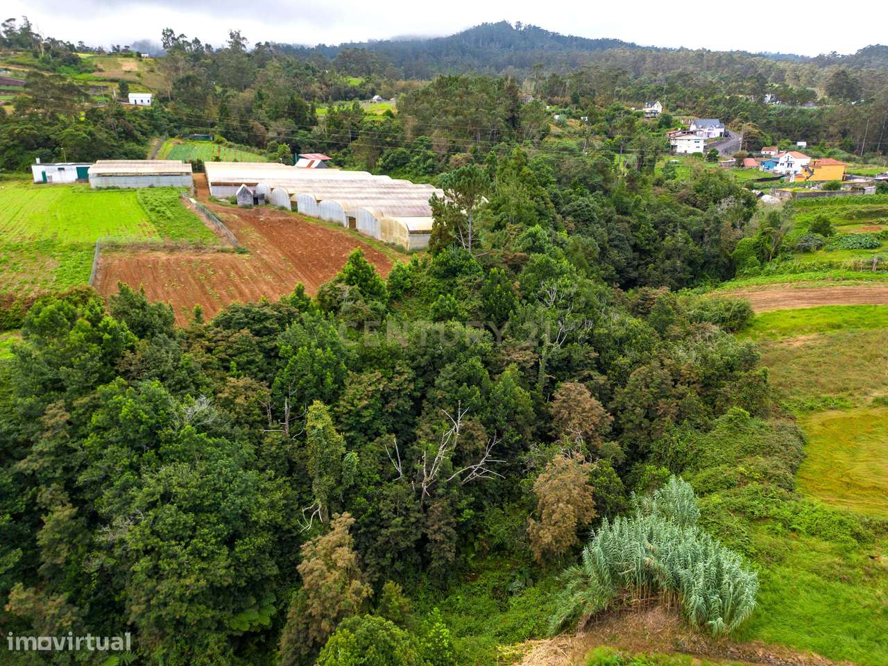 Terreno Rustico- Ideal para Projeto de Investimento - Grande imagem: 5/15