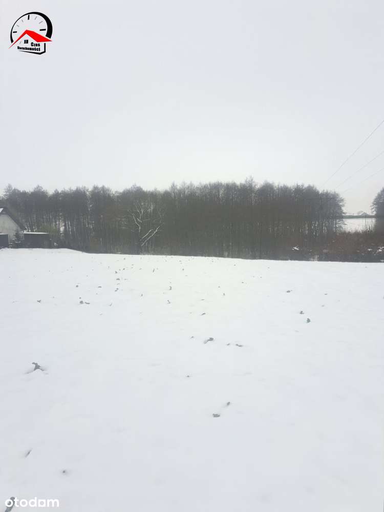 Niezwykła działka nad rzeką w Lubrańcu - Pełny obrazek: 5/7