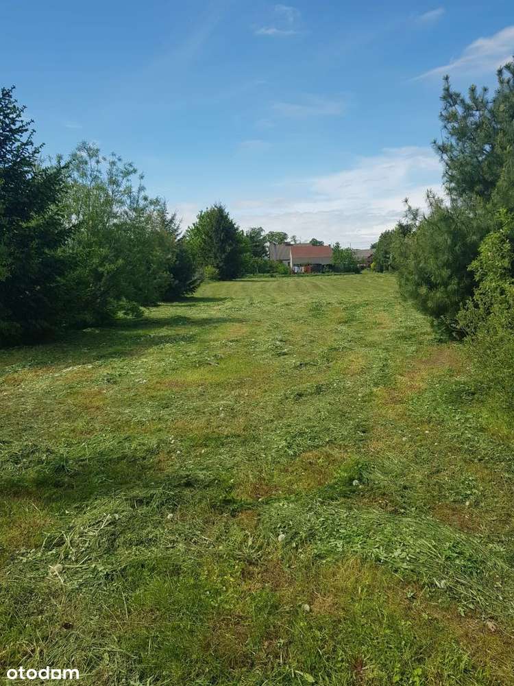 Działka, 3 074 m², Brusy-Jaglie-2