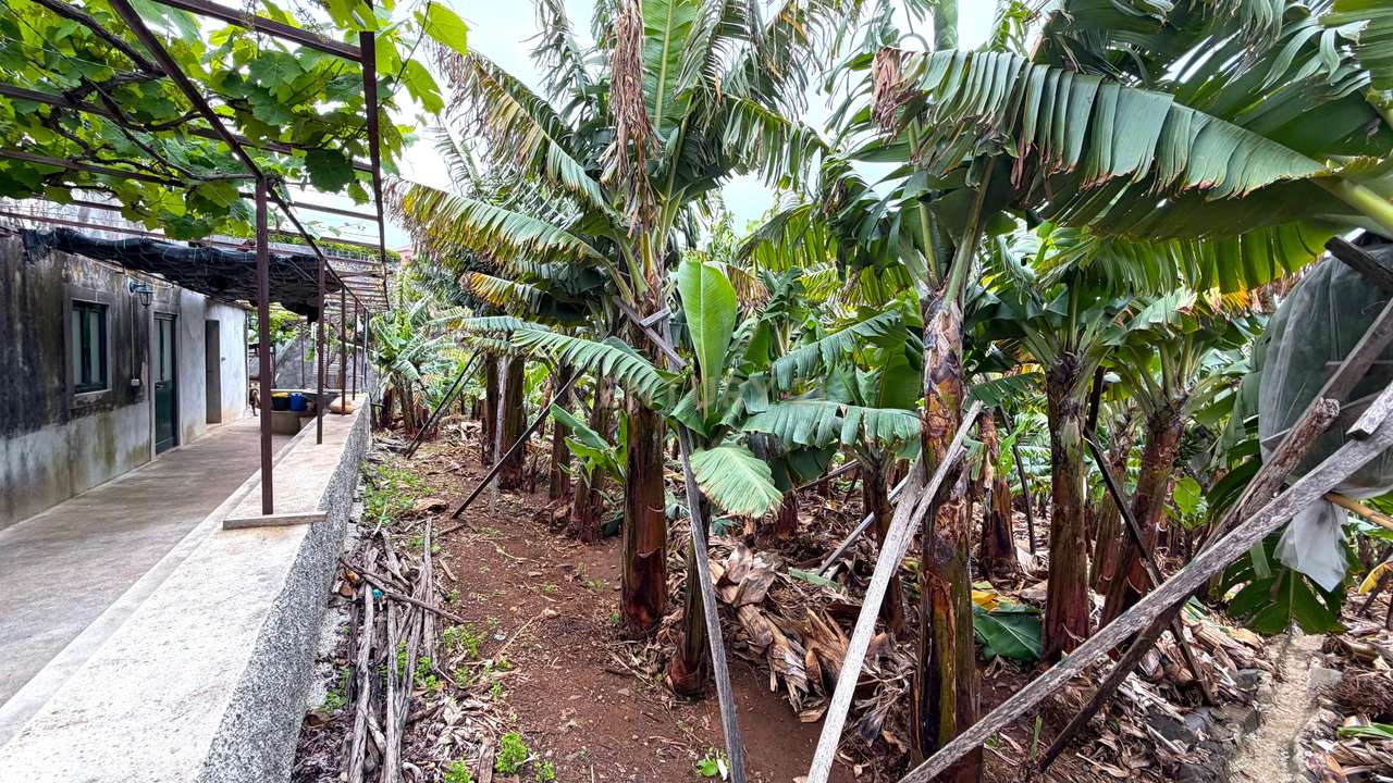 Moradia com terreno de 2000 m² em Ponta do Sol-10