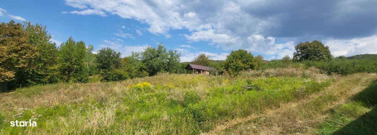 Teren intravilan 1279 mp , Valea Budacului - Imagine principală: 2/4