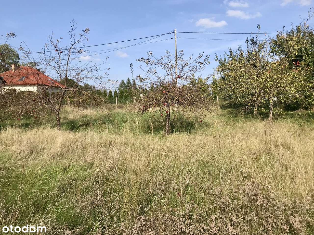 Działka rolna z potencjałem - Krotoszyny, gm. Biskupiec - Pełny obrazek: 4/8