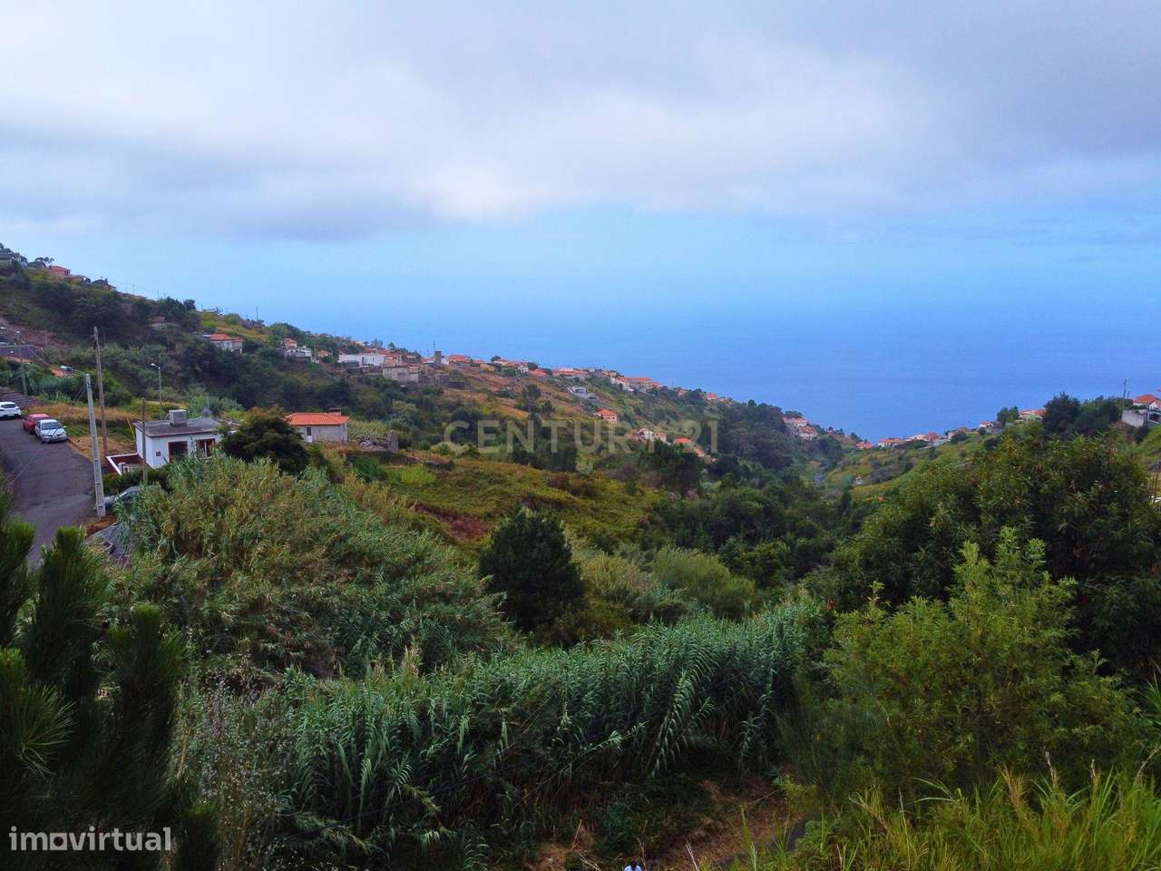 Terreno Rústico nas Faias, Arco da Calheta - Oportunidade Única! - Grande imagem: 5/11