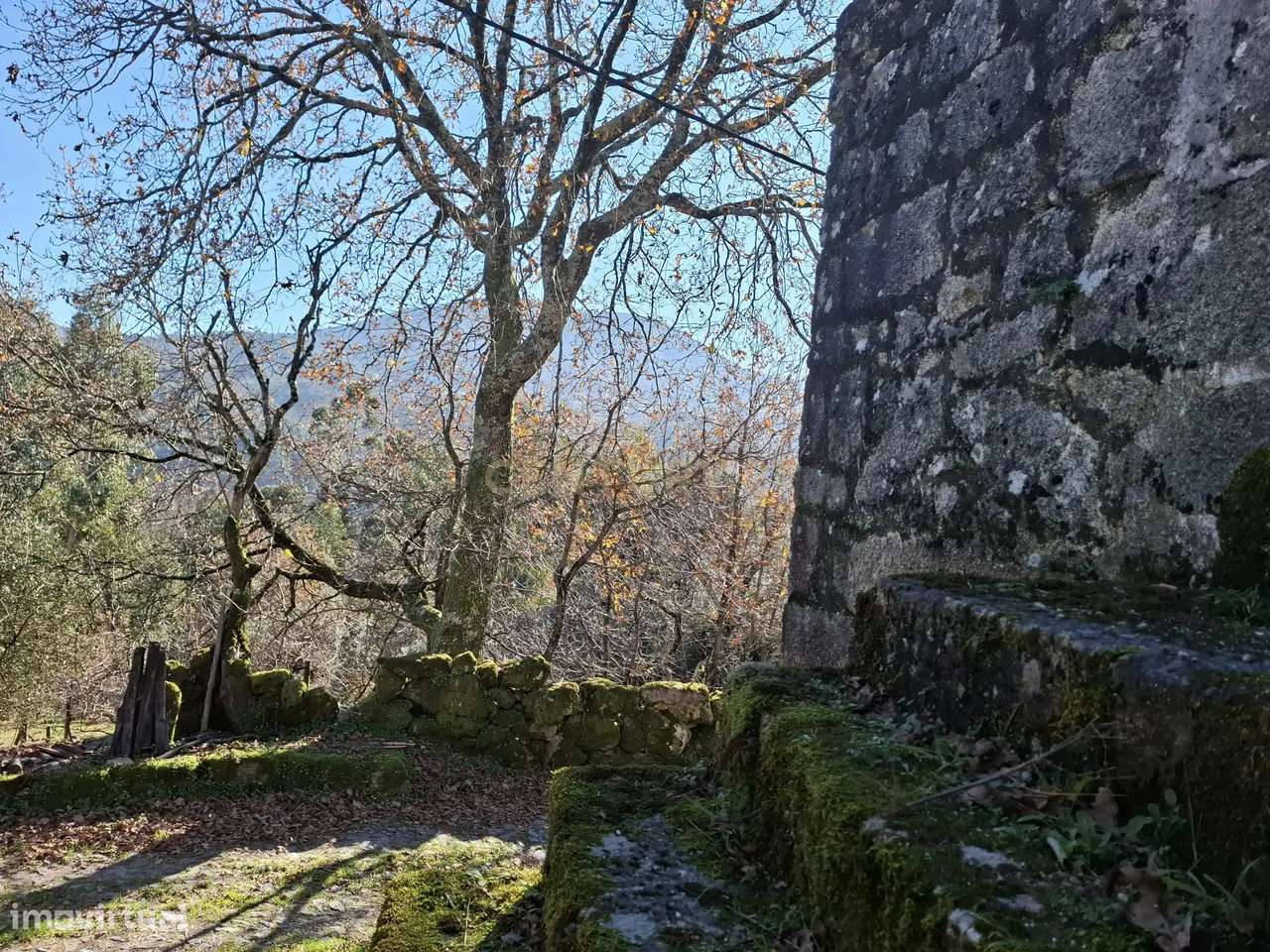 Casa em Pedra para Reconstrução – Uma Oportunidade Única no Paraíso do - Grande imagem: 5/24