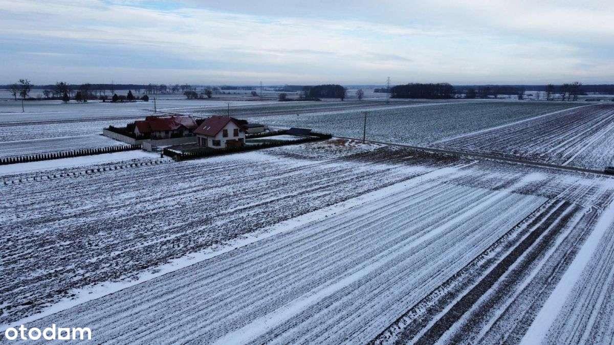 Dom w Chwalibożycach z działkami budo. 50 arów - Pełny obrazek: 5/7