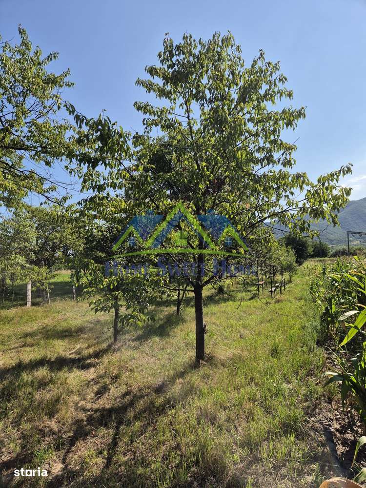 Teren intravilan 1.370 mp – Subcetate, – 9.900 euro neg.,-2