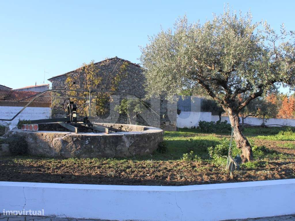 Quinta para venda em Oledo, Idanha-a-Nova, Portugal-10