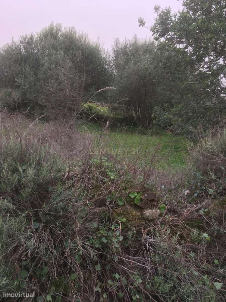 Terreno Urbano em São Barnabé - Grande imagem: 3/4