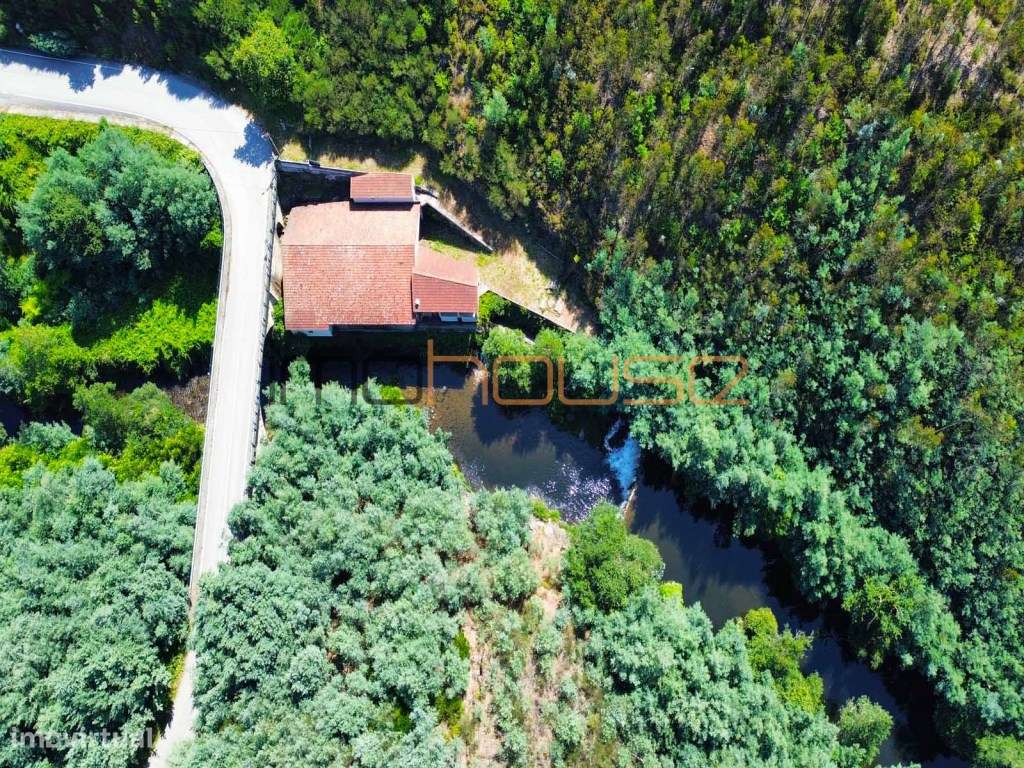 Antiga serração - Frente de Rio-8