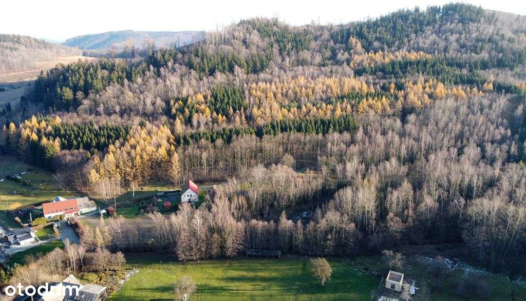 Działka Park Krajobrazowy Kolorowe Jeziorka 4048m²-5