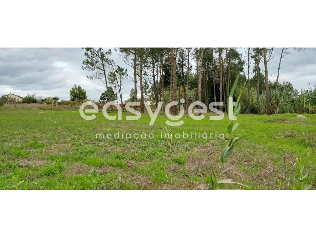 Terreno plano e soalheiro com 1712m2 no Pilado- Marinha Grande - Grande imagem: 4/15