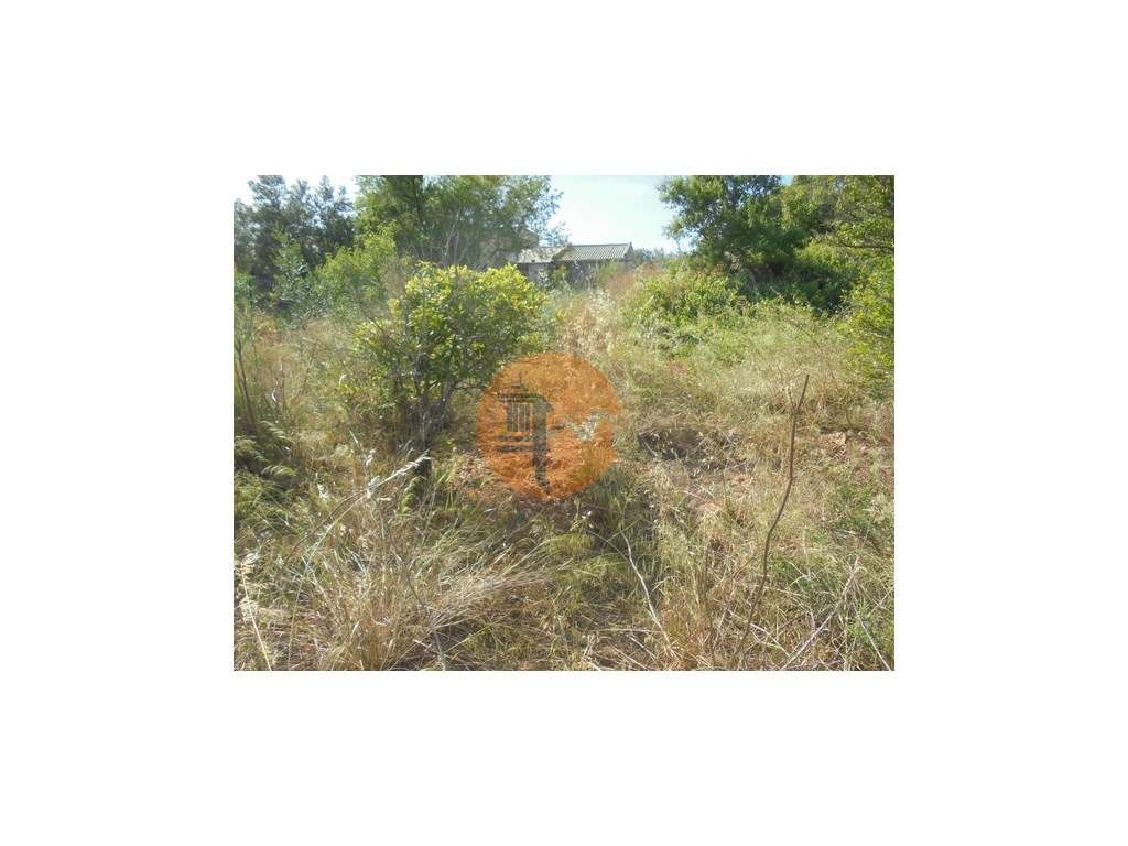 Terreno misto - Grande imagem: 4/32