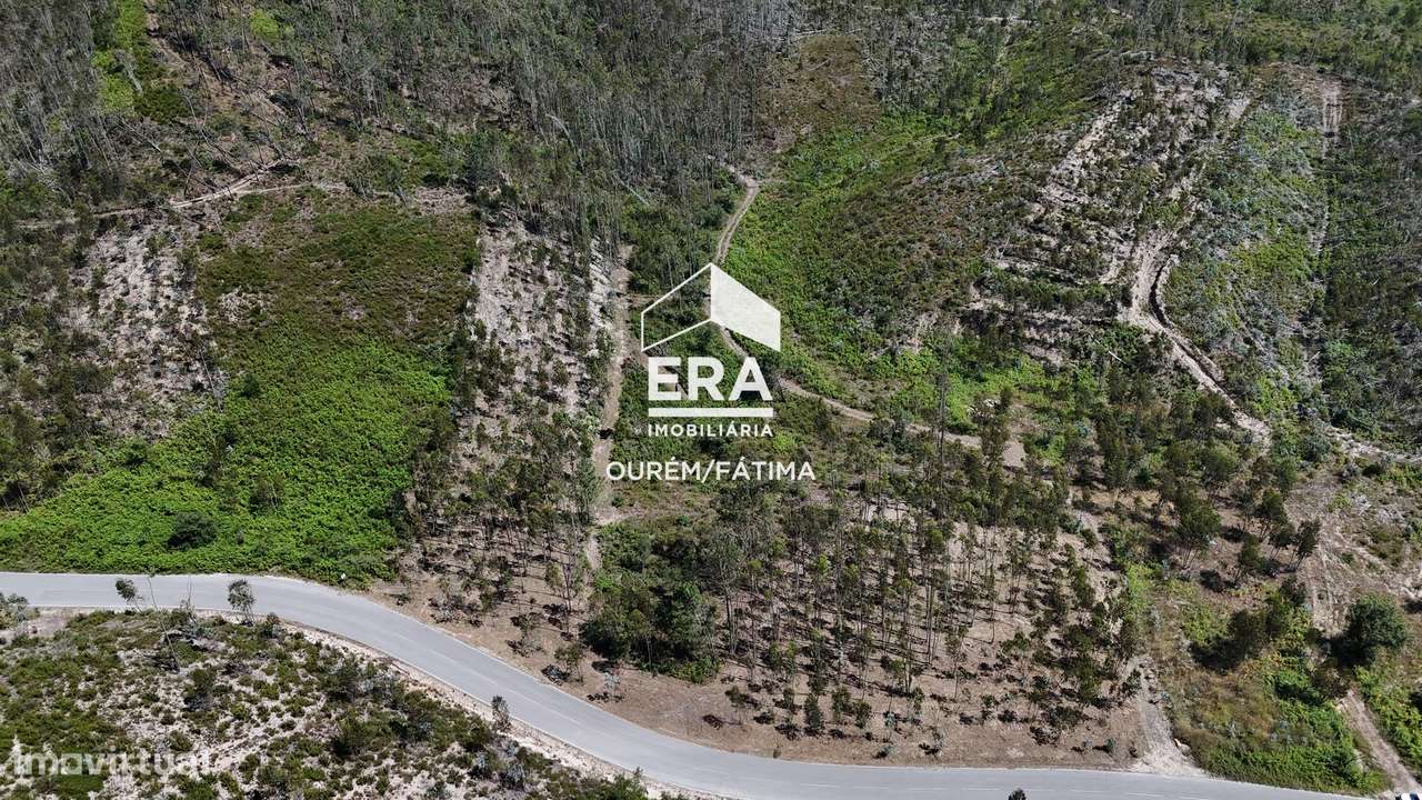 Terreno Florestal em Matas, Ourém-15