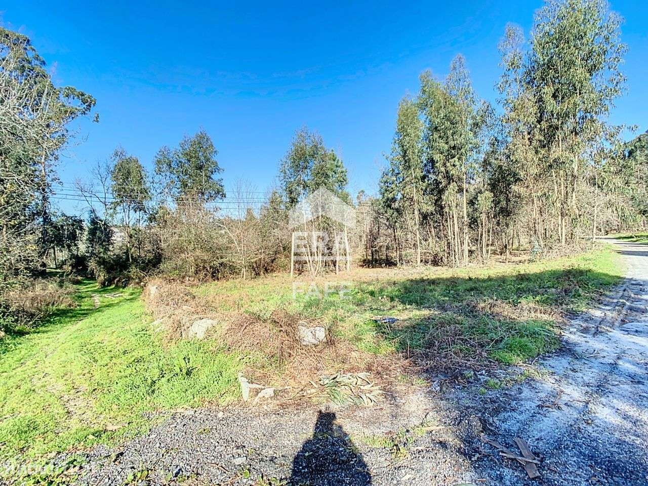 Terreno para construção em Revelhe, Fafe - Grande imagem: 4/7