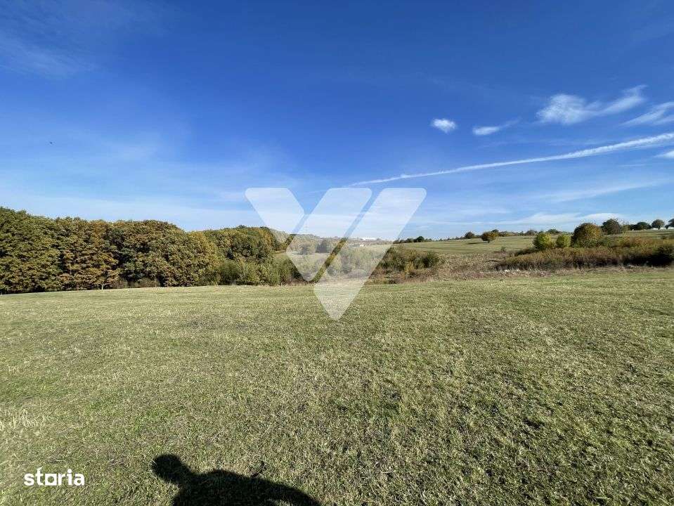 Teren extravilan 1342 mp zona linistita – Rasinari - Sibiu - Imagine principală: 5/11