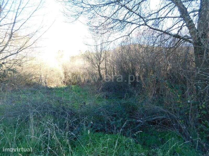 Terreno / Covilhã, Verdelhos - Grande imagem: 4/10
