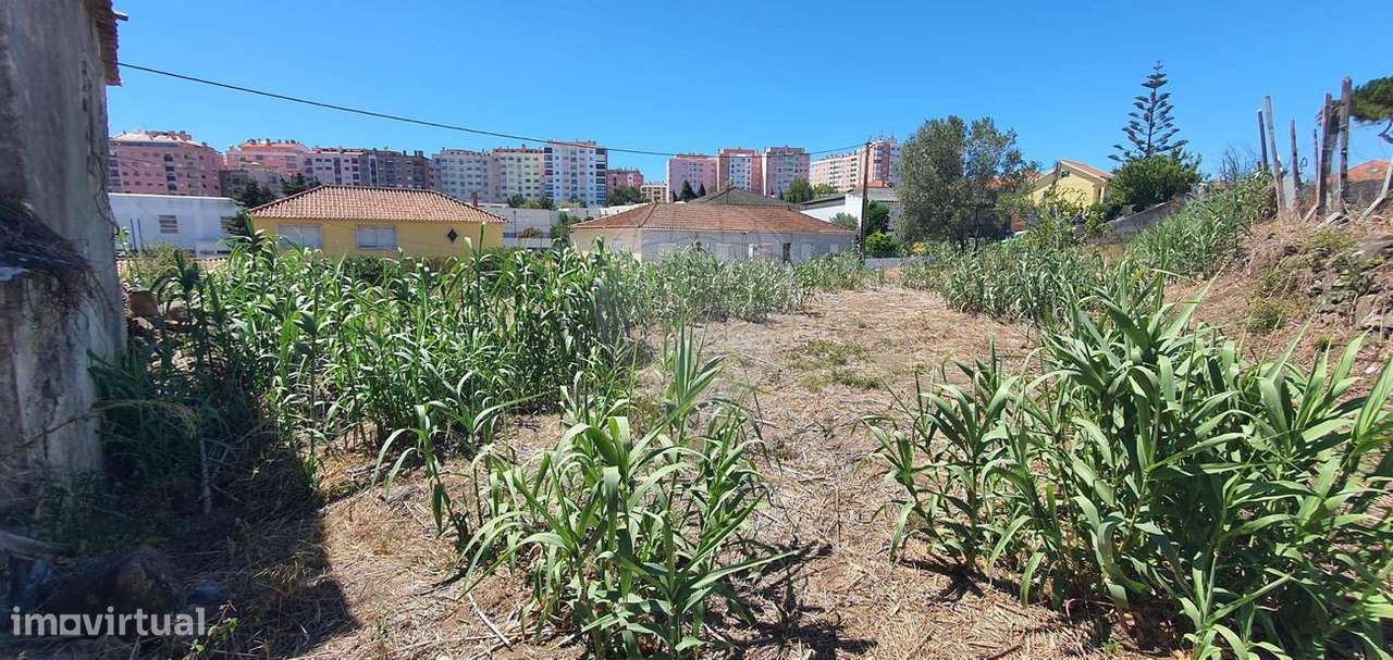 Terreno  para venda-10