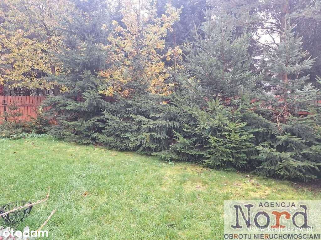 Dom w Puszczy Augustowskiej-17