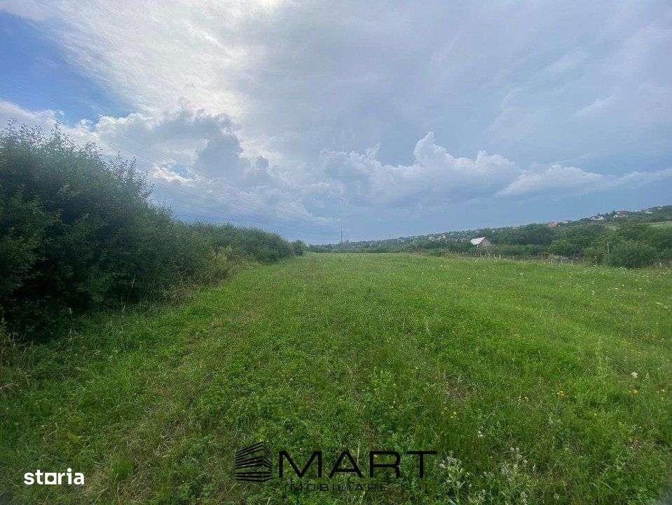 Teren 8000mp Daia noua - Imagine principală: 2/7