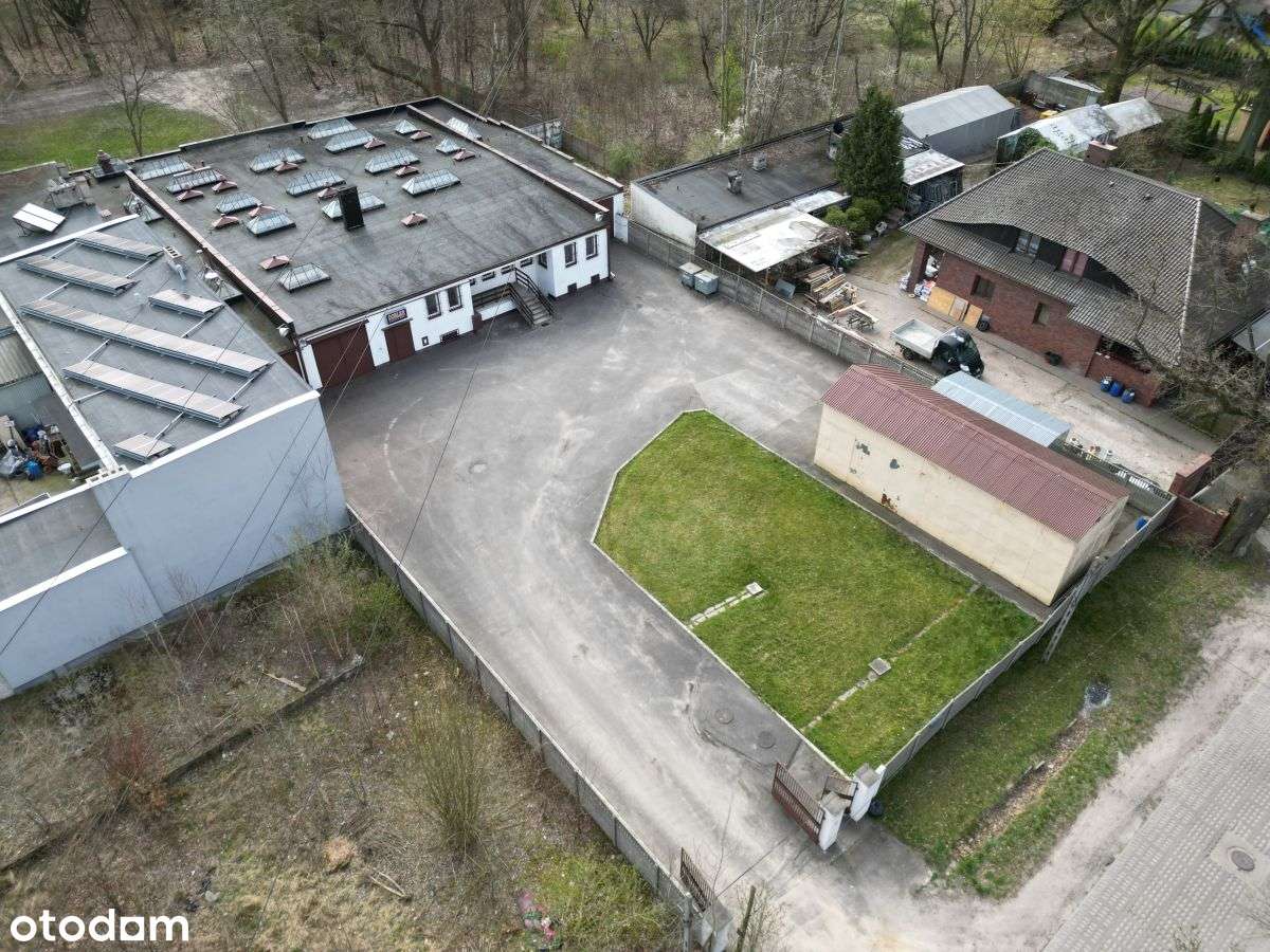 dsi-869731 - Pełny obrazek: 2/20