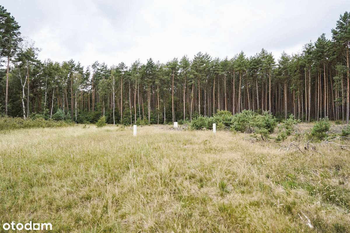 Wyłączność urokliwa działka ok. Z.Góry-3