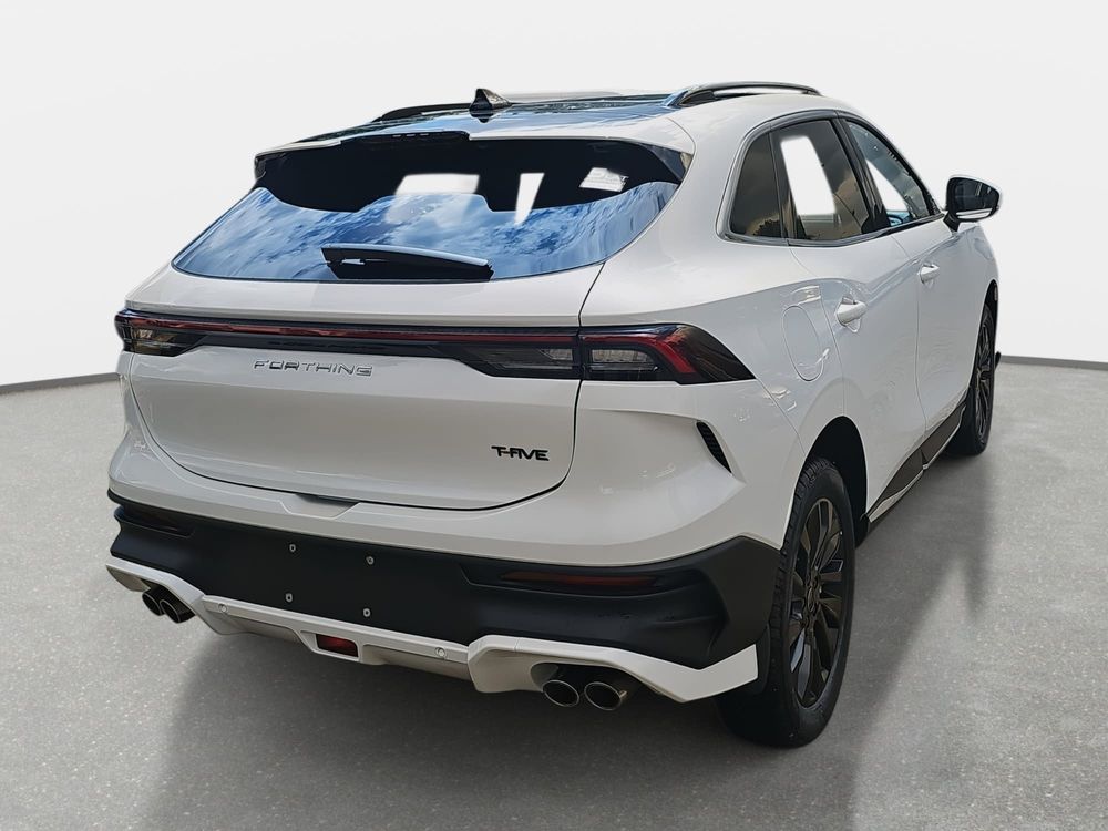 forthing t5-evo