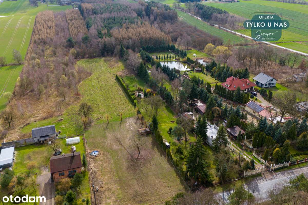 Działka z własnym lasem - Pełny obrazek: 5/16