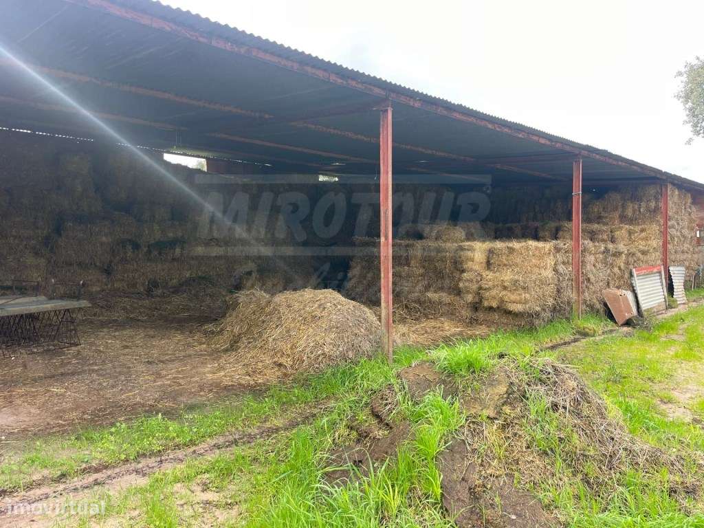 Propriedade Rústica com 11 Hectares junto a Canhestros-21