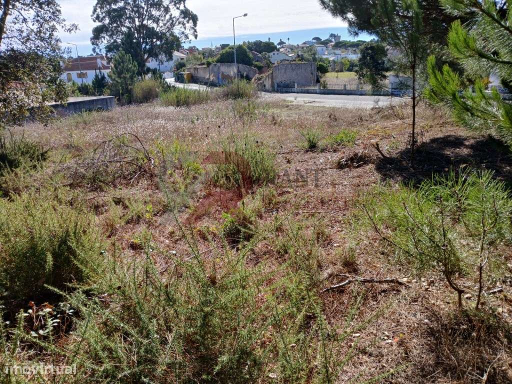 Lote com projeto de construção - Nadadouro Caldas da Rainha-10