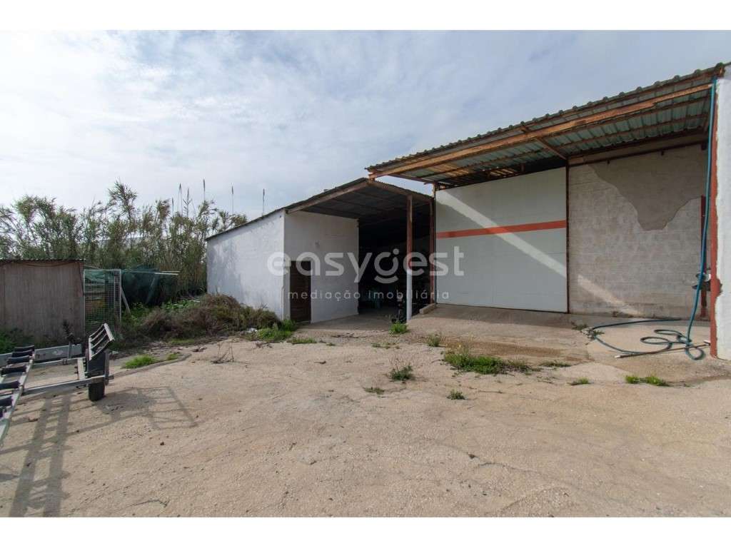 Armazém com 854 m2 em terreno de 1586 m2 em Fundo - Amaro Gonçalves - Grande imagem: 4/13