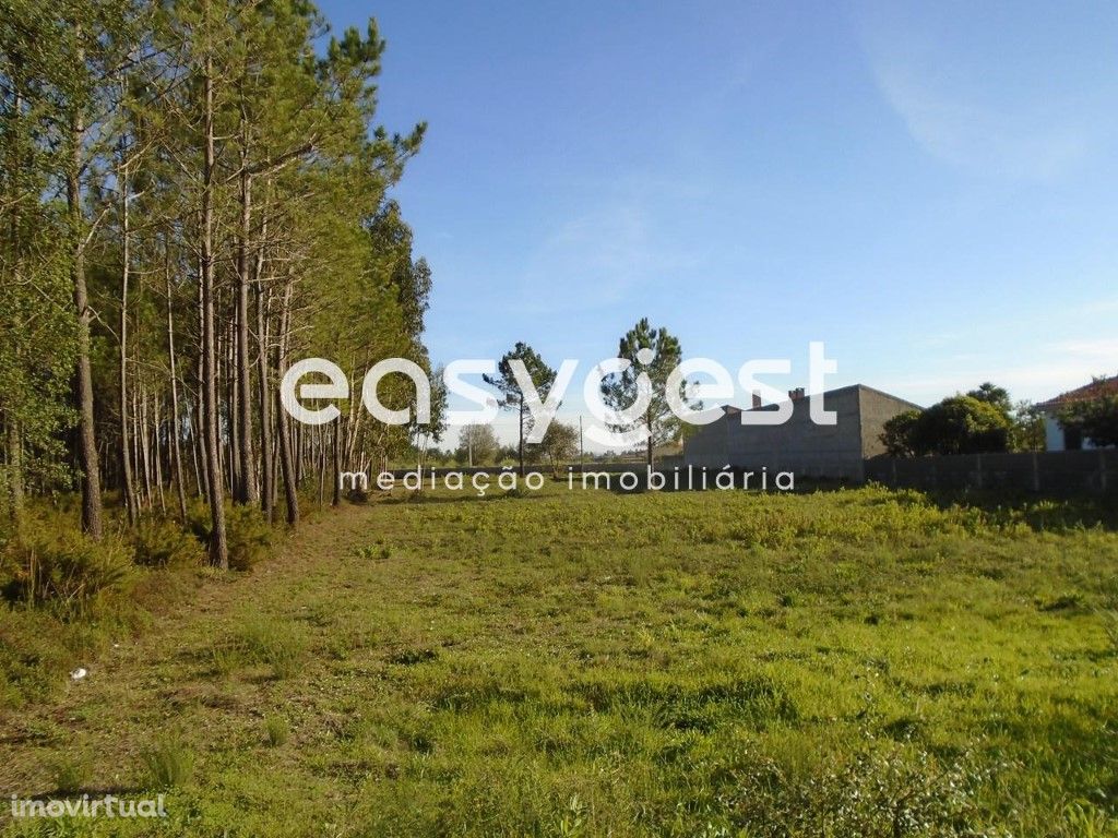 Terreno para Construção perto do Centro da Vila de Pataias