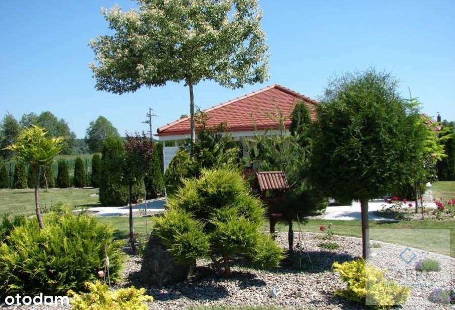 Rezydencja w Dobrej. - Pełny obrazek: 5/20