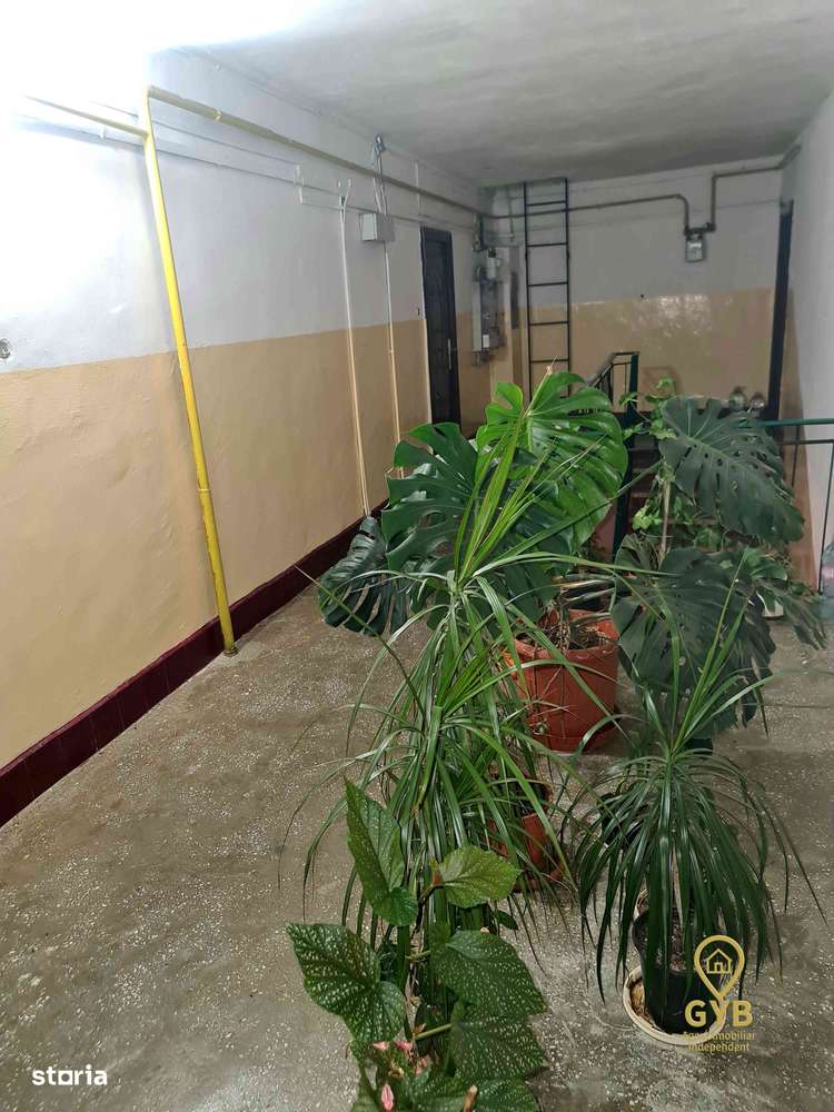 Apartament spatios cu 4 camere, zona Penny,  Marghita-10