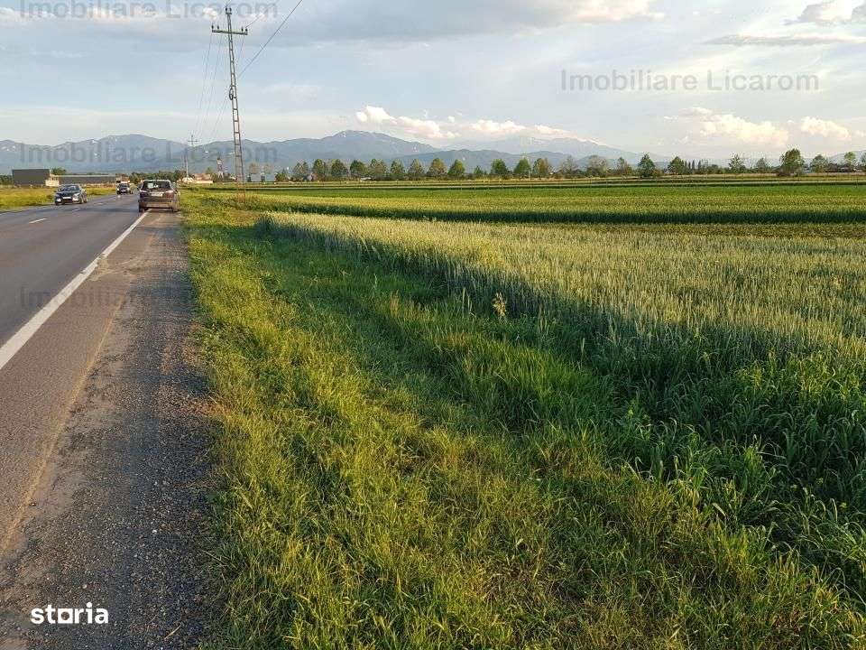 Teren Stupini Calea Feldioarei 4600 mp,21 euro/mp, front la asfalt-0
