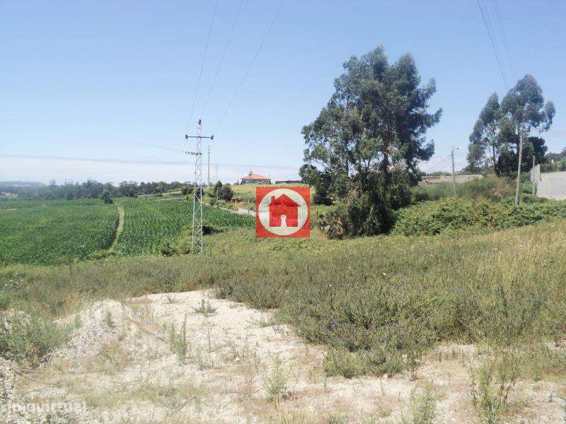 Oportunidade de Investimento: Terreno Industrial de 9.900m2 em Zona... - Grande imagem: 4/5