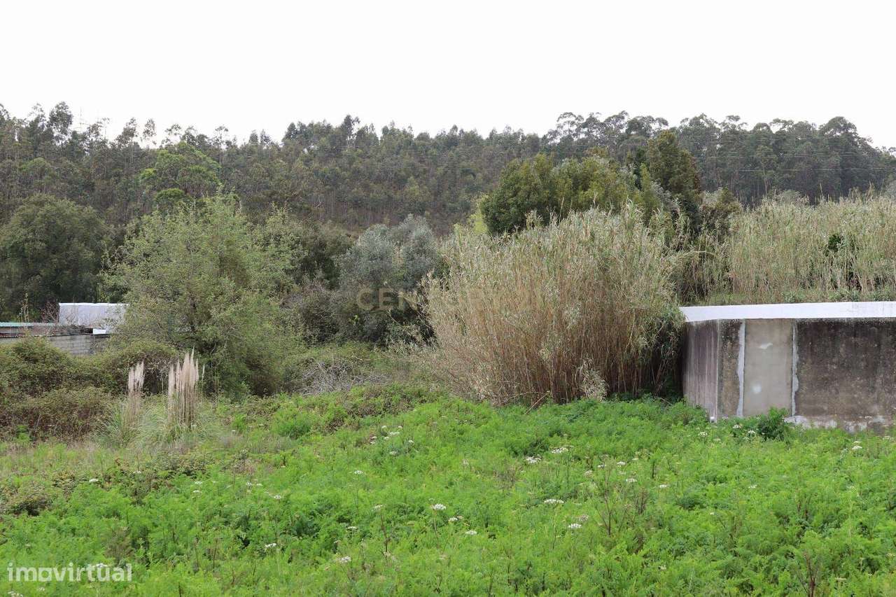 Terreno Rústico em Antanhol, Coimbra – 3.500m² com Árvores de Fruto e  - Grande imagem: 3/8