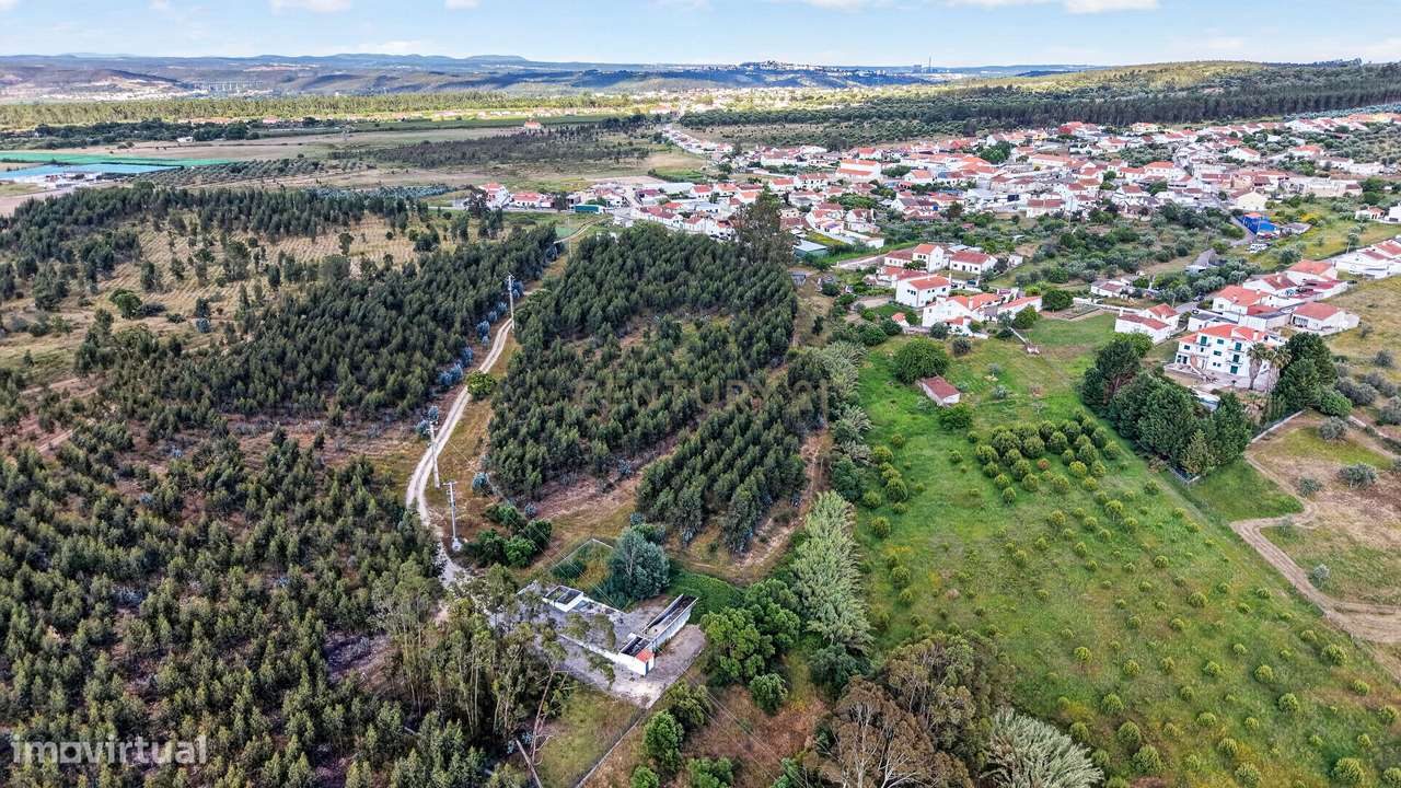 Encantadora Moradia em Tramagal, Abrantes - 5 Quartos-33