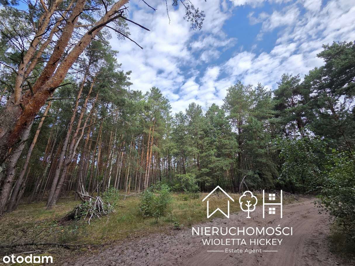 Teren inwestycyjny 5,76 ha – pod zabudowę mieszkaniową 1 ha 2365 m²-6