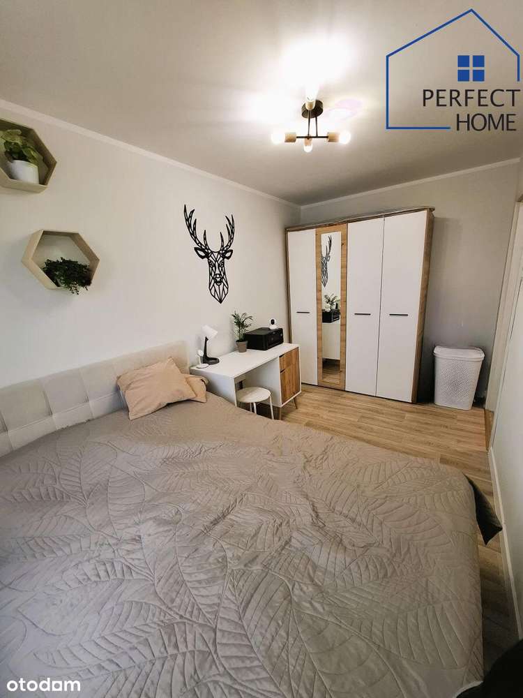 Mieszkanie po remoncie, 2 pokoje, Jastrzębie-Zdrój os. XXX-lecia-8