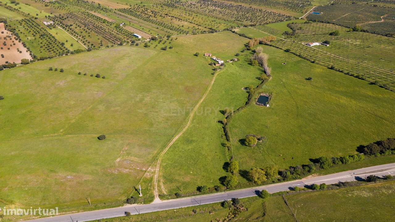 Terreno em Mourão - Alentejo-7