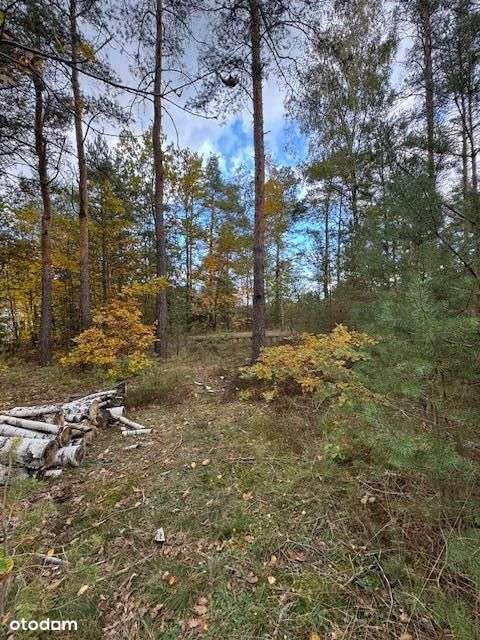 Działka w Wesołej z Mpzp - Pełny obrazek: 1/2