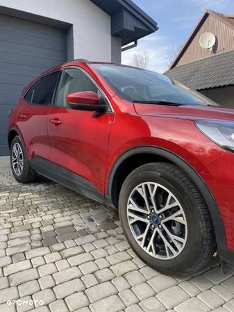 Ford Escape 1.5 EcoBoost AWD SE - 7