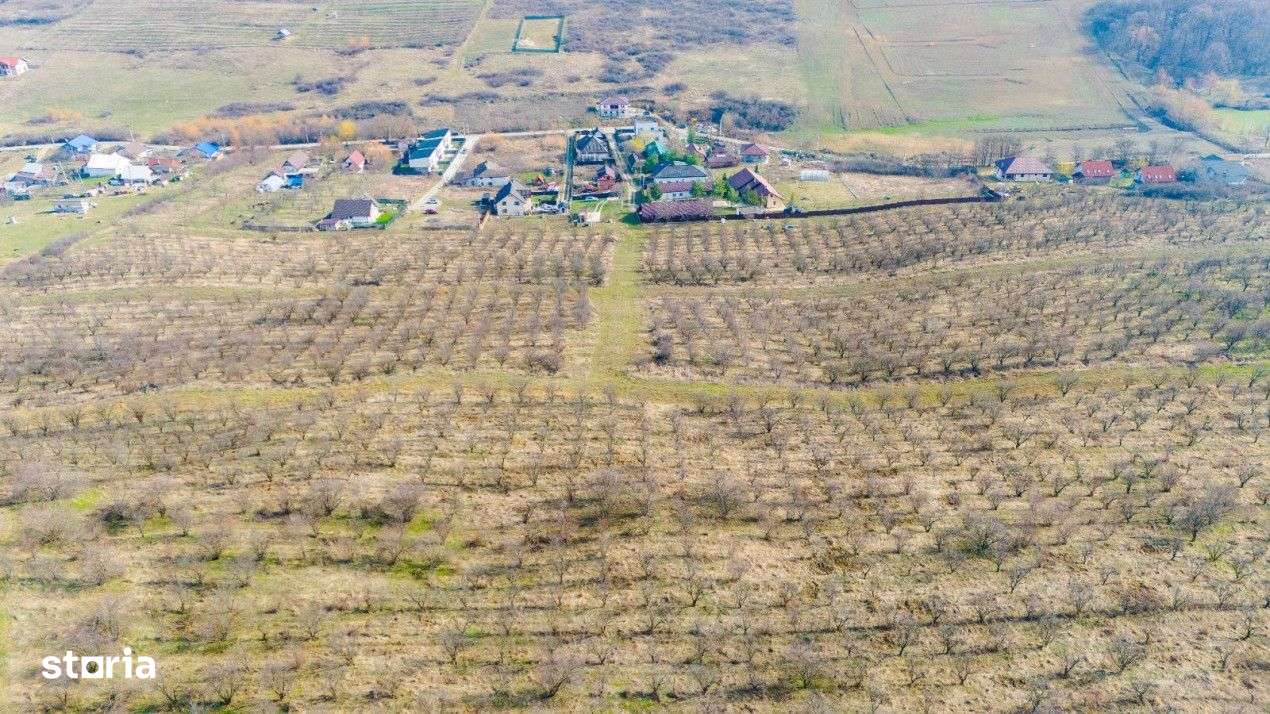 Vanzare Teren Intravilan 800 mp Visani Sf. Ilie PUZ Casa D+P+E - Imagine principală: 2/5