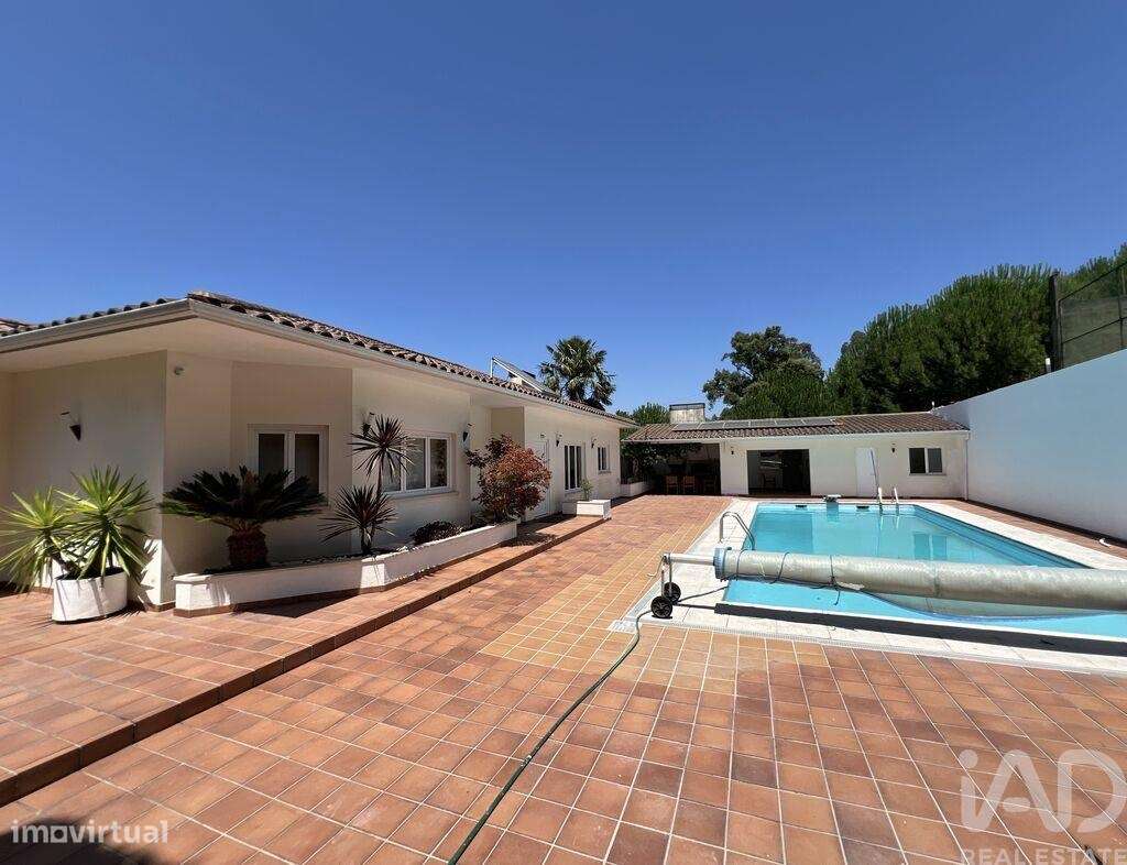 Quinta T4 em Castelões de 643,00 m2 - Grande imagem: 4/30