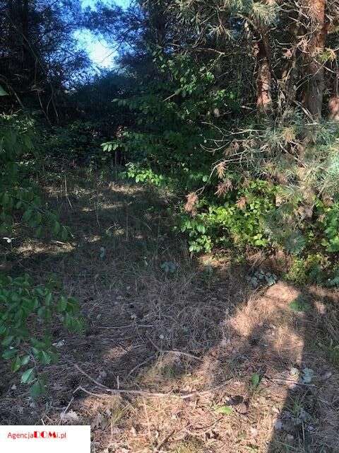 Władysławów(k.Siestrzeni),prąd,gaz,woda,budowlana,-7