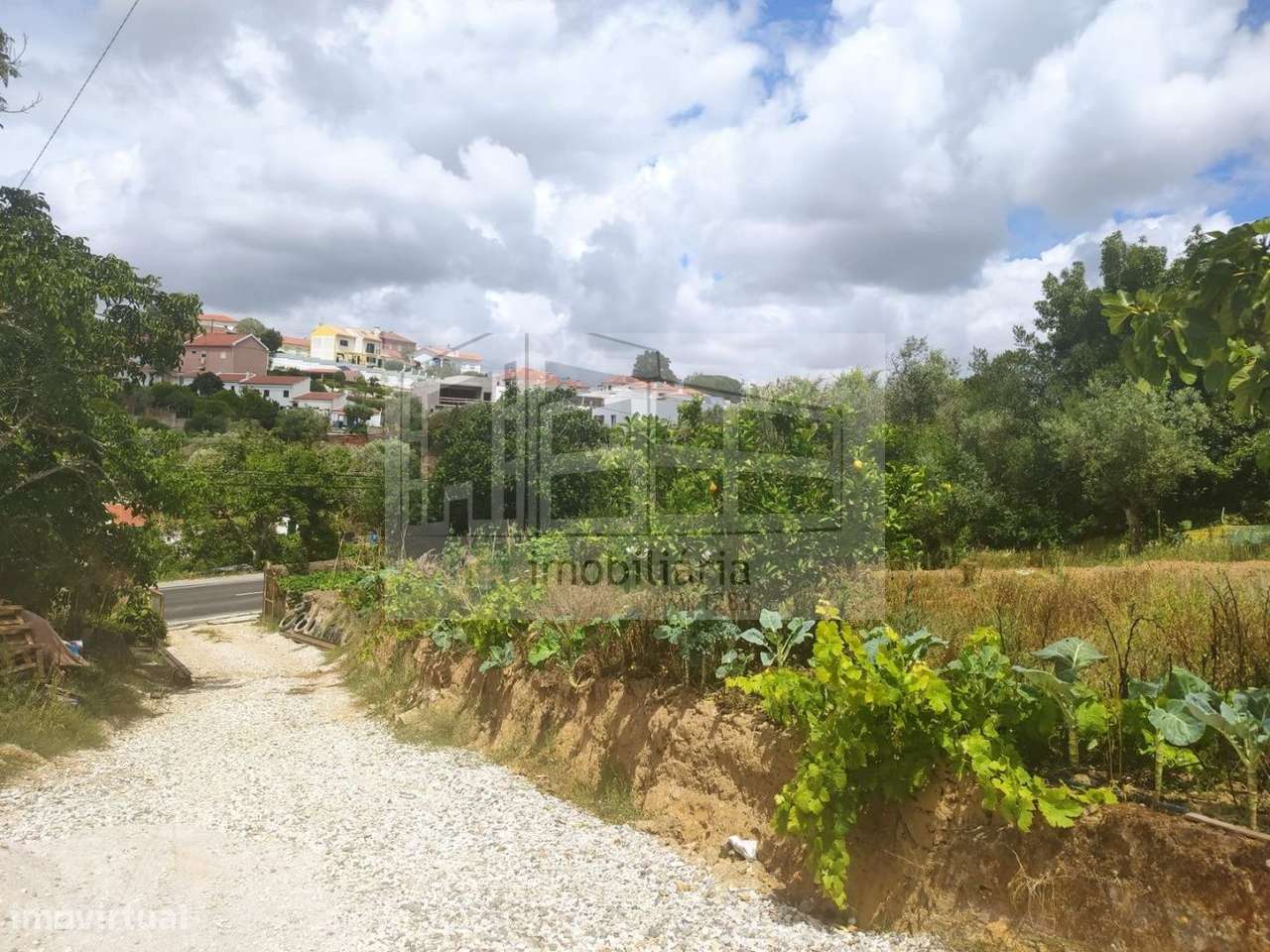 Terreno em Lousa - Grande imagem: 5/7