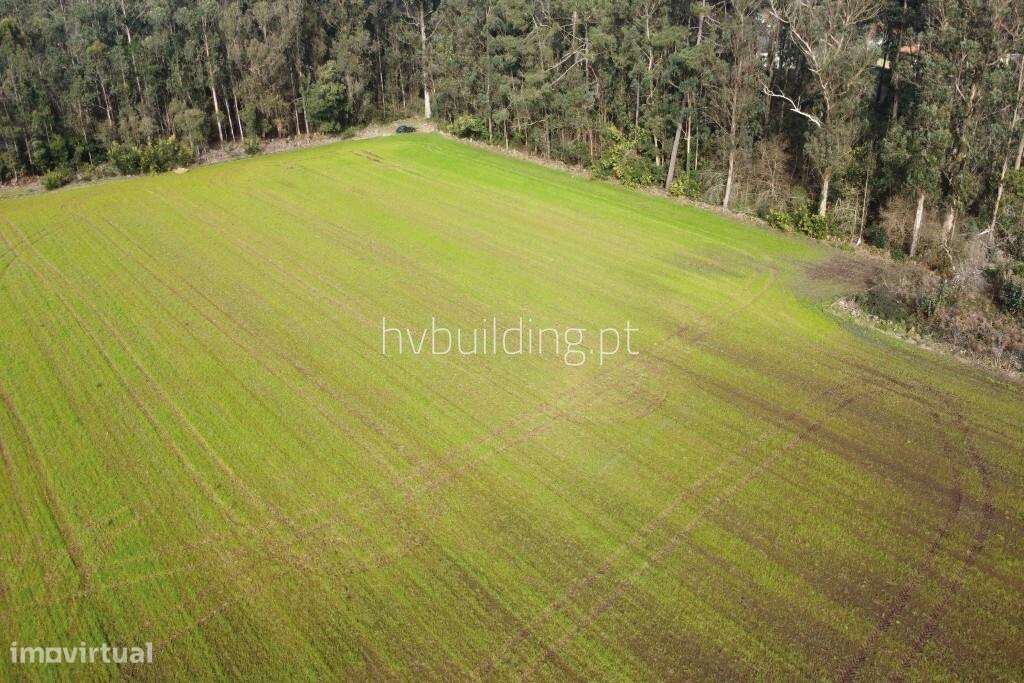 Terreno para construção em Gemeses, Esposende-7