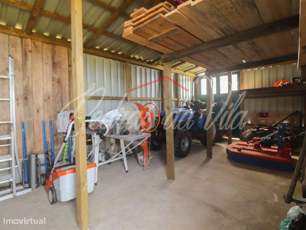 Quinta com 6,5ha em Vale Juncal - São Teotónio-54