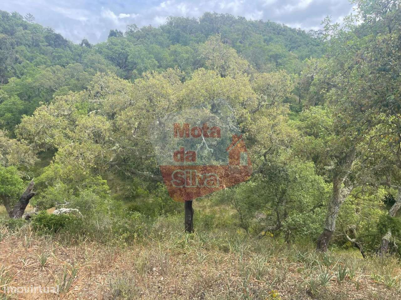 Terreno na aldeia de São Francisco da Serra-3