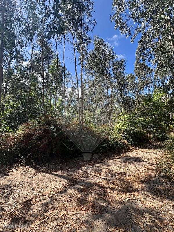 Terreno  para venda - Grande imagem: 2/3